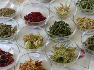Kräutertee Auswahl